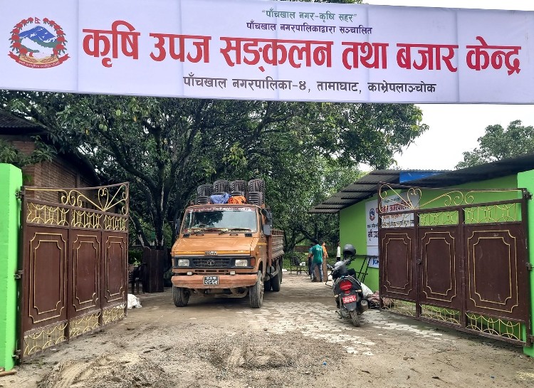 पाँचखालमा ‘विषादीरहित’ तरकारी सङ्कलन केन्द्र सञ्चालन पाँचखालमा ‘विषादीरहित’ तरकारी सङ्कलन केन्द्र सञ्चालन